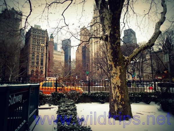 New York under the snow