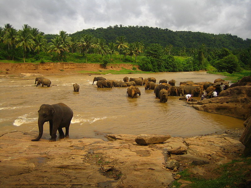 Una splendida meta per un viaggio in Sri Lanka