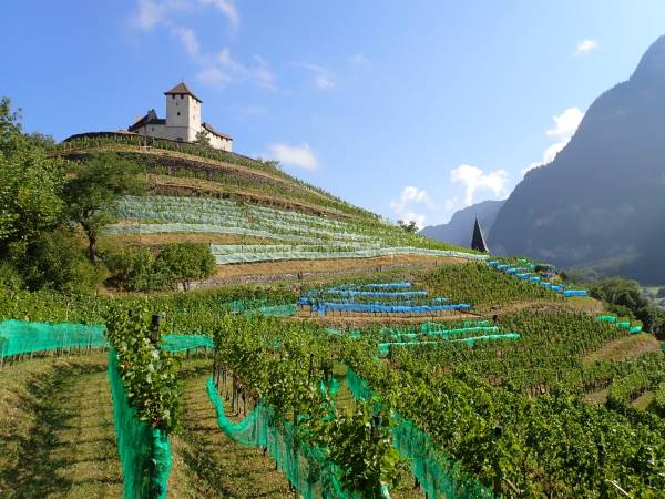 Schaan: what to visit and every info for travelers - Discovering  Liechtenstein